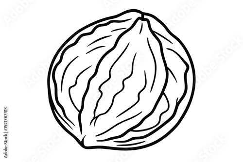 Black and White Line Art Illustration of a Walnut in Shell Detail