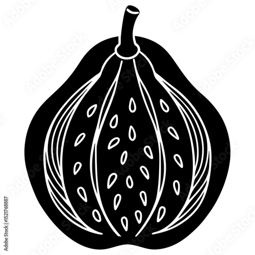 vector illustration of a fig