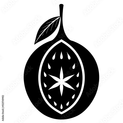 vector illustration of an apple
