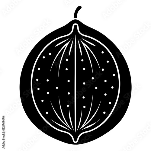 vector illustration of an apple