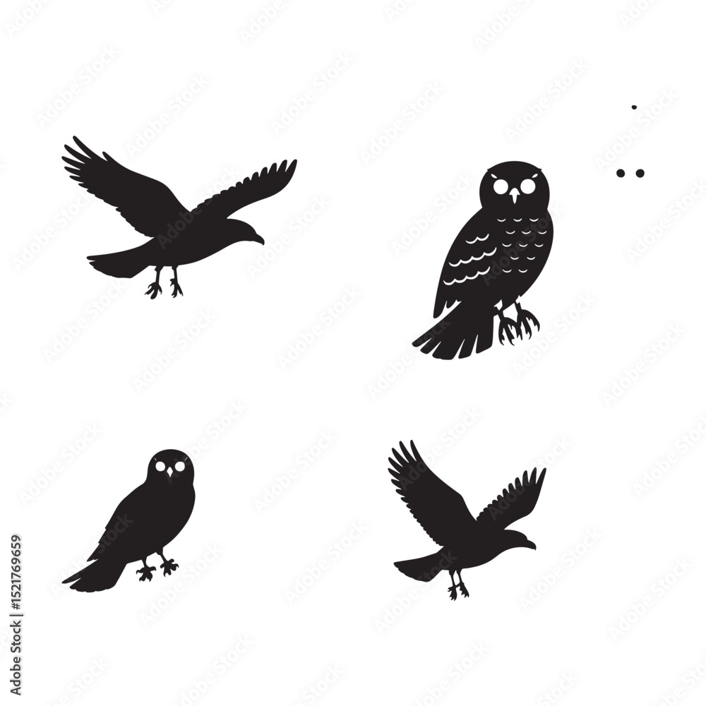 Fototapeta premium Wise Owls and Graceful Birds: Assorted Avian Silhouettes Collection