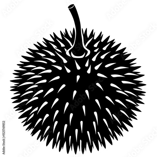 hedgehog on a black background