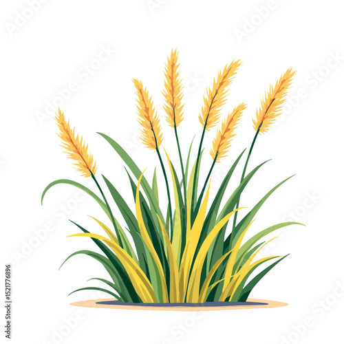 Vsai ornamental grass growing in a bush with long green and yellow leaves