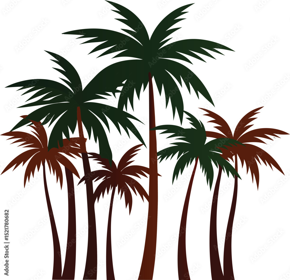 Obraz premium Cluster Of Tall Palm Tree With Varied Heights