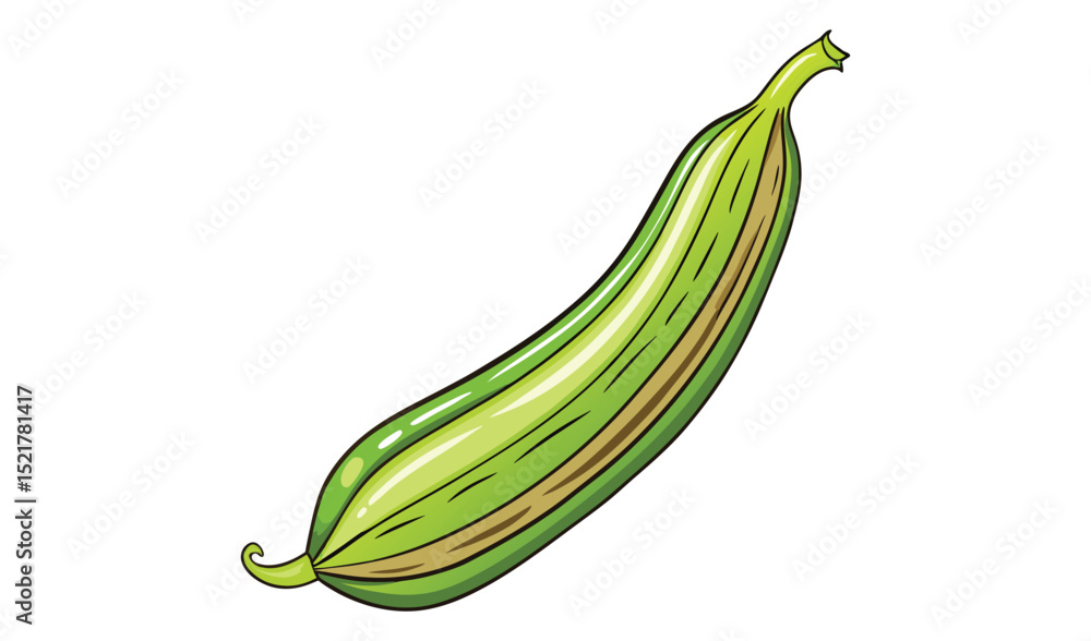 Photo of illustration of a green angled luffa isolated on white background Photo of illustration of a green angled luffa isolated on white background