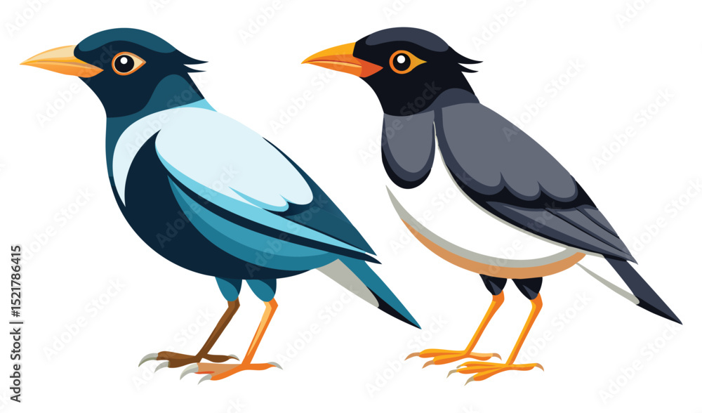 Fototapeta premium Photo of two asian birds isolated on white background