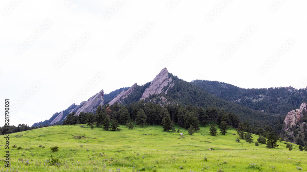 Fototapeta premium A peaceful view of the Flatirons showcases the stunning harmony between rugged peaks, wildflowers, and expansive open space.
