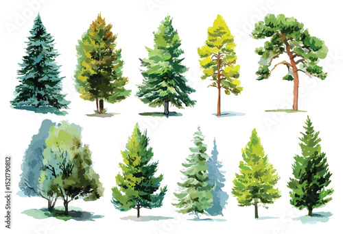 Set of trees, isolated watercolor illustration