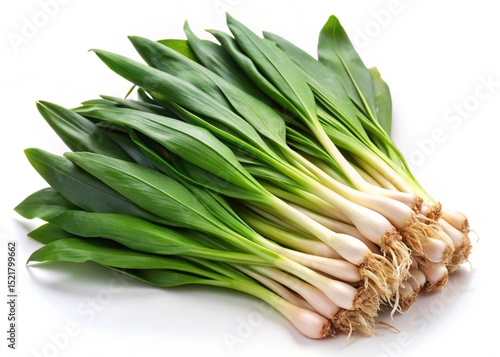 ramps isolated on white background