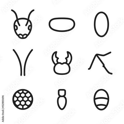 Ant Anatomy Icons. Outline icon set of ant anatomy: head, thorax, abdomen, antennae, mandibles, legs, compound eyes, petiole,