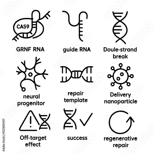 Genome Editing Icons. Outline icon set of genome editing for neural repair: CRISPR-Cas9 complex, guide RNA, double-strand break,