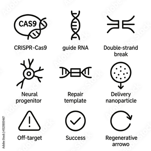 Genome Editing Icons. Outline icon set of genome editing for neural repair: CRISPR-Cas9 complex, guide RNA, double-strand break,