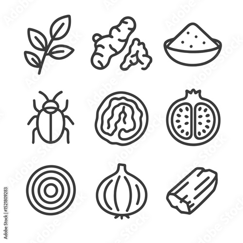 Natural Dye Icons. Outline icon set of natural dye palettes: indigo leaf, madder root, turmeric powder, cochineal insect, walnut