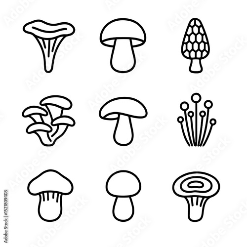 Edible Mushrooms Icons. Outline icon set of edible mushrooms: chanterelle, porcini, morel, oyster mushroom, shiitake, enoki,