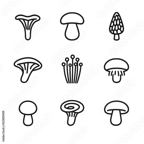 Edible Mushrooms Icons. Outline icon set of edible mushrooms: chanterelle, porcini, morel, oyster mushroom, shiitake, enoki,