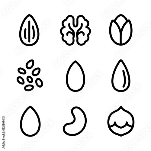Nuts and Seeds Icons. Outline icon set of nuts and seeds mix: almond, walnut half, pistachio, chia seed, flax seed, sunflower seed