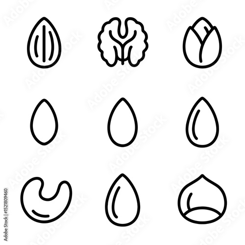 Nuts and Seeds Icons. Outline icon set of nuts and seeds mix: almond, walnut half, pistachio, chia seed, flax seed, sunflower seed