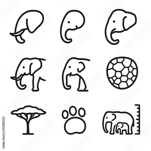 Elephant Icon Comparison. Outline icon set of African vs Asian elephants: African ear shape, Asian ear silhouette, forehead dome,