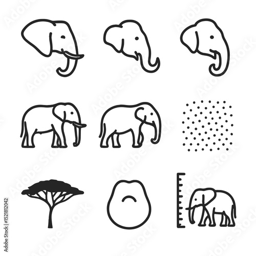 Elephant Icon Comparison. Outline icon set of African vs Asian elephants: African ear shape, Asian ear silhouette, forehead dome,