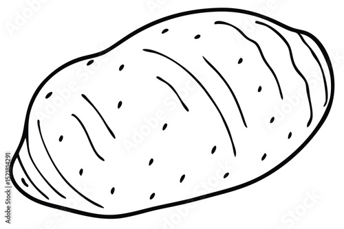 Stylized Outlined Potato Vector Graphic With Small Markings and Linear Depictions of Skin Texture