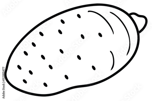 Line Art Illustration Black and White Potato Outline with EyespotLike Markings