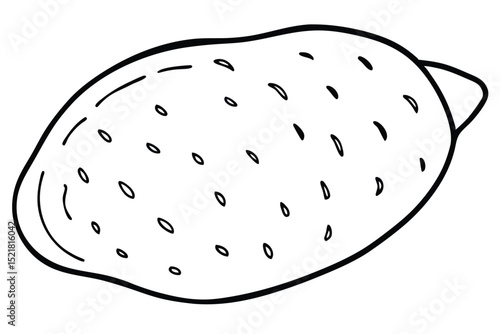 Outlined Illustration of a Sapodilla Fruit with Seed Marks and Calyx Bud