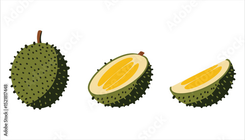 Vector illustration of durian isolated on white. Perfect for representing exotic Southeast Asian fruits in food branding and humorous food concepts