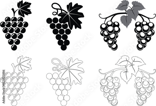 Grapevine Bunch Icon Set – Silhouette, Outline, and Detailed Grape Designs with Leaves