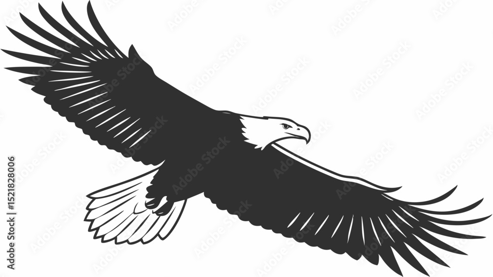 Obraz premium Majestic Bald Eagle in Flight A Powerful Symbol of Freedom and Strength