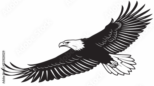 Majestic Bald Eagle in Flight A Powerful Black and White Illustration