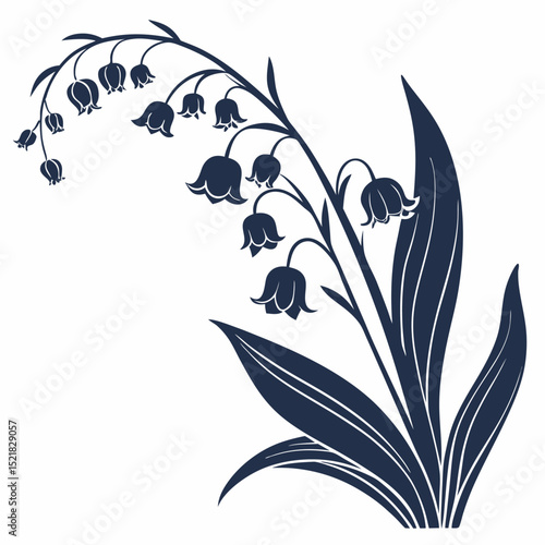 black and white lily of the valley
