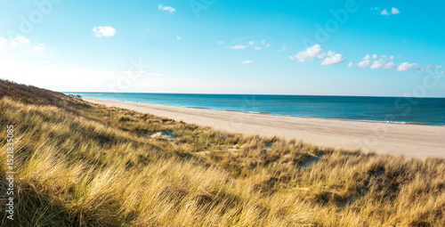 Beautiful beach at the coast of the Netherlands in early summer