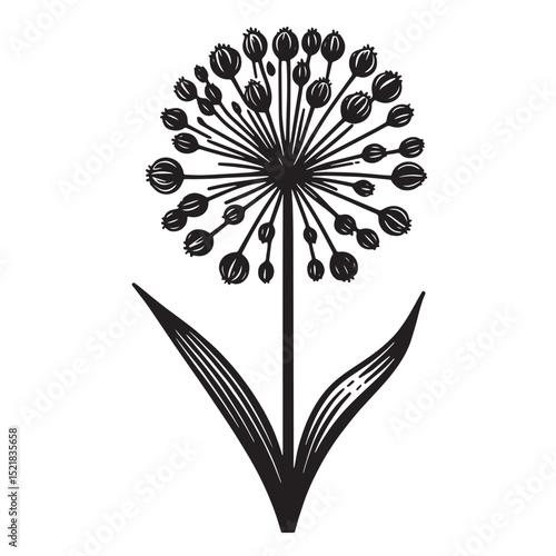 Allium Flower SVG