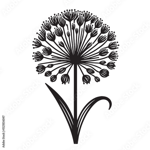 Allium Flower SVG