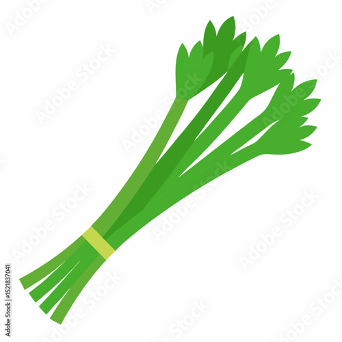 green onion isolated on white background