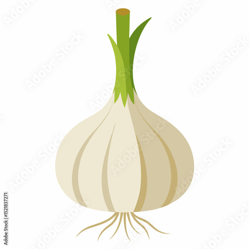 onion isolated on white background
