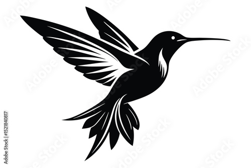Elegant Silhouette of a Hummingbird in Flight with Detailed Feathers and Long Beak