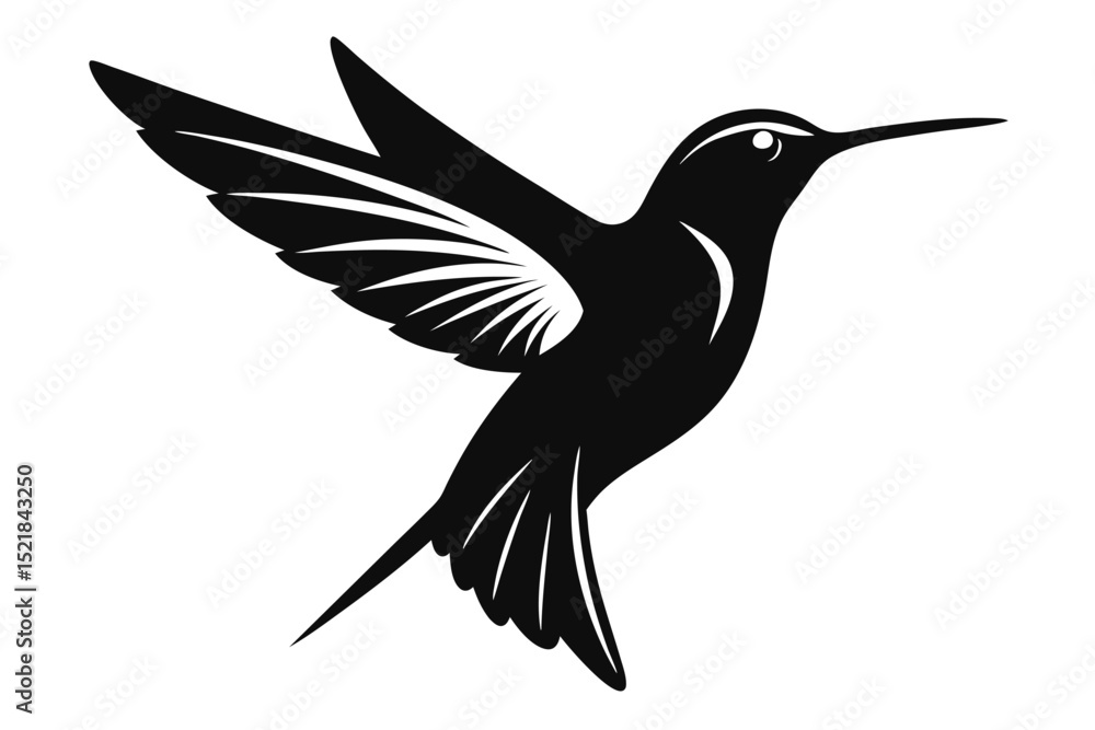 Obraz premium Silhouette of a Hummingbird in Flight, Wings Extended, Displaying Detailed Feather Markings and Elongated Beak