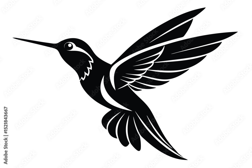 Obraz premium Black and White Hummingbird Illustration with Decorative Wings Spreading Wide Design Element
