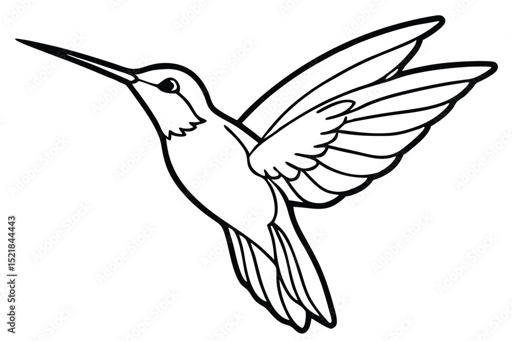 Fototapeta premium Artistic Outline of a Hummingbird Flying with Wings Spread, Tail Feathers Visible