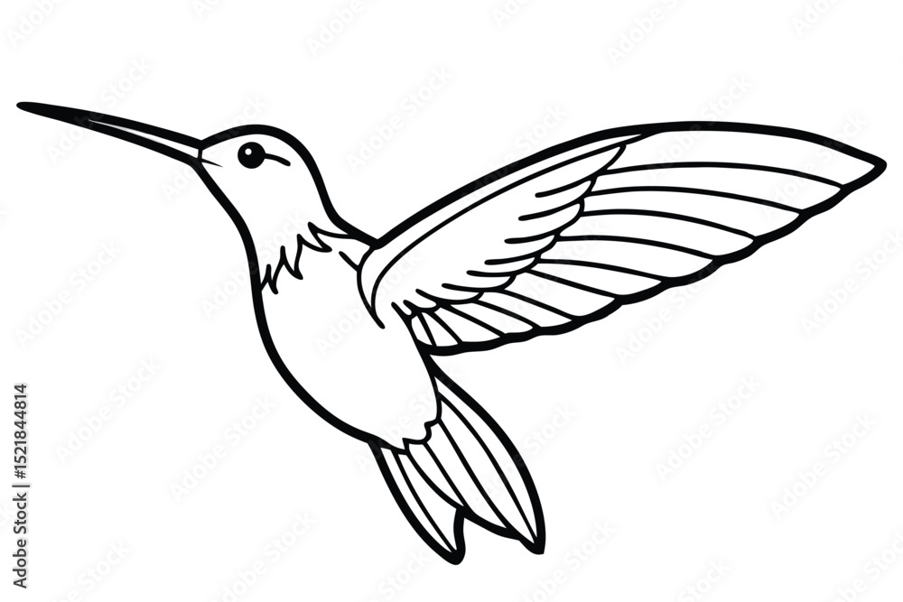 Fototapeta premium Outlined Hummingbird Illustration with Wings Spread, a Simple Line Drawing Style, Profile View