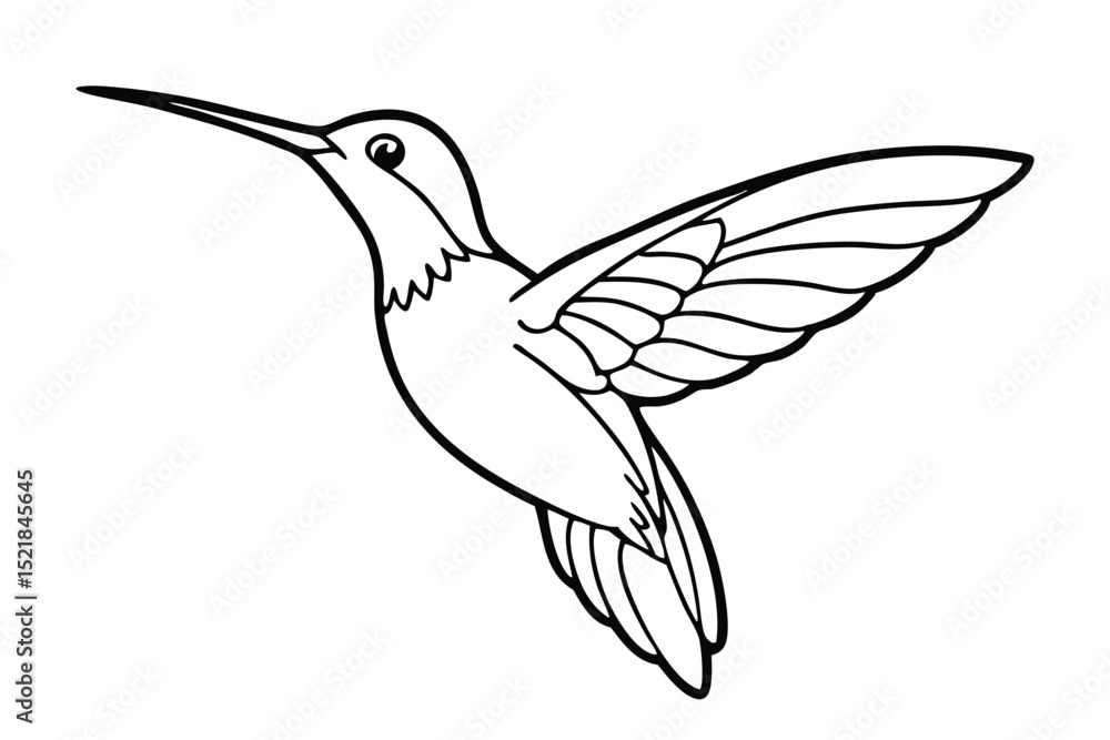 Fototapeta premium Outlined Hummingbird Illustration in Flight, Vector Image for Coloring Pages and Crafts