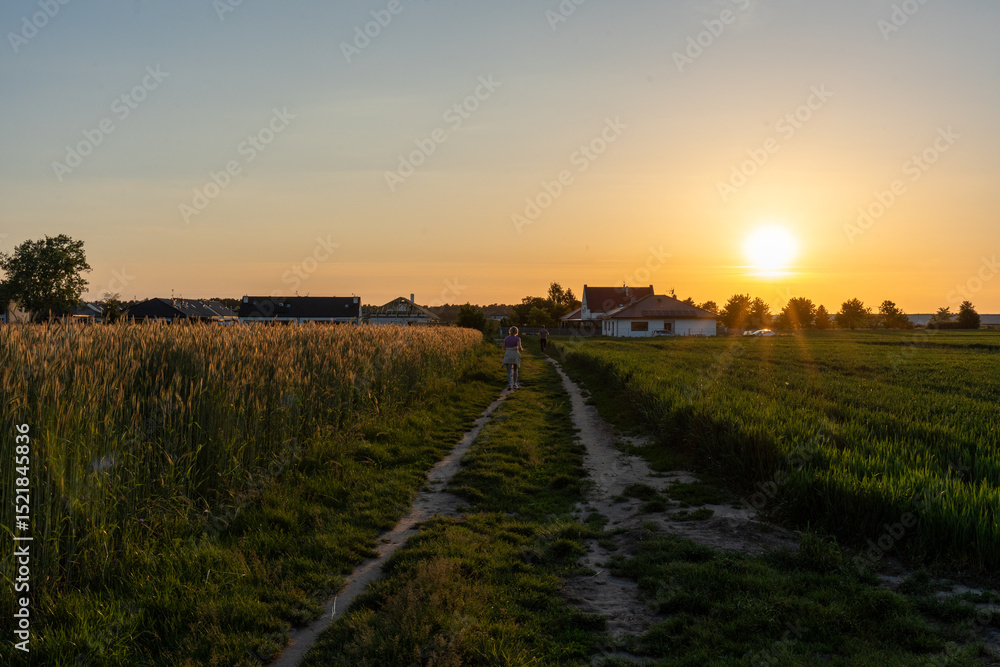 Rural landscape at sunset with a dirt road, wheat field, and houses in the background, featuring person walking peacefully in the serene countryside. Concept of tranquility, nature, and village life. Rural landscape at sunset with a dirt road, wheat field, and houses in the background, featuring person walking peacefully in the serene countryside. Concept of tranquility, nature, and village life.