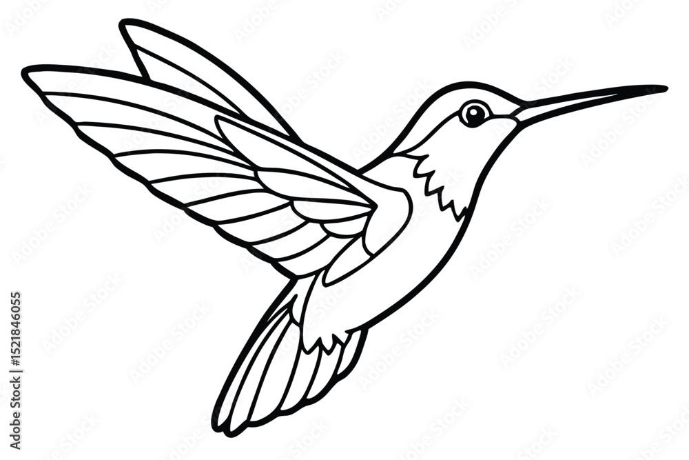 Obraz premium Detailed Hummingbird Outline Image with Wings Extended, Featuring Sharp Beak and Feather Details