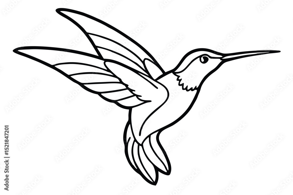 Obraz premium Outlined Hummingbird Illustration with Open Wings, Elegant Silhouette, Isolated Vector Drawing