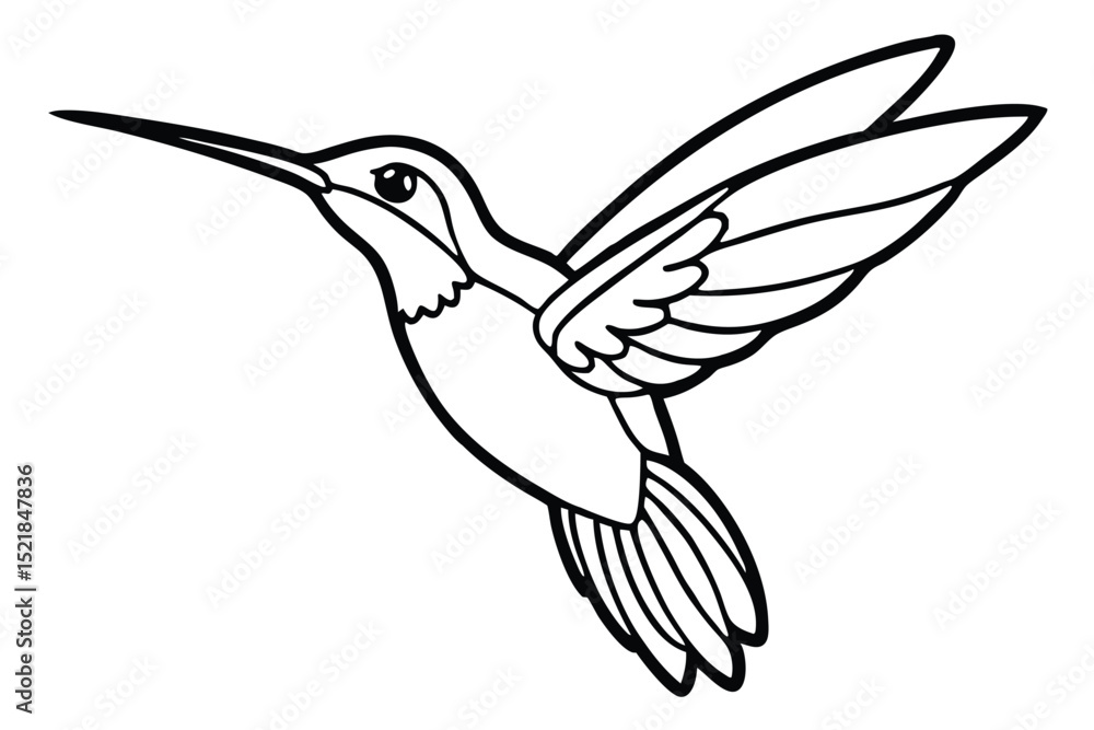 Fototapeta premium Detailed Line Drawing of a Flying Hummingbird with Long Beak and Tail Feathers
