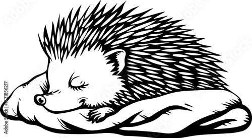 animal, mammal, sketch, vector, nature, wildlife, cat, pet, illustration, dog, drawing, cute, wild, hand drawn, fur, head, shaggy, kitten, bear, tail, isolated on white, zoo, art, domestic animal, bla