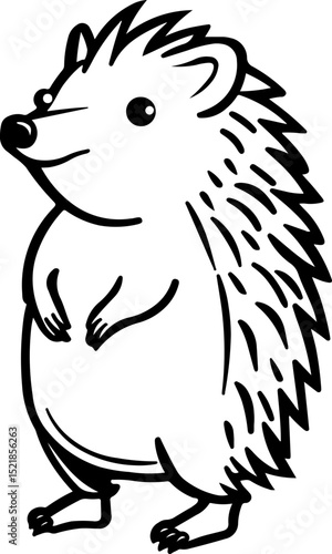 animal, mammal, sketch, vector, nature, wildlife, cat, pet, illustration, dog, drawing, cute, wild, hand drawn, fur, head, shaggy, kitten, bear, tail, isolated on white, zoo, art, domestic animal, bla