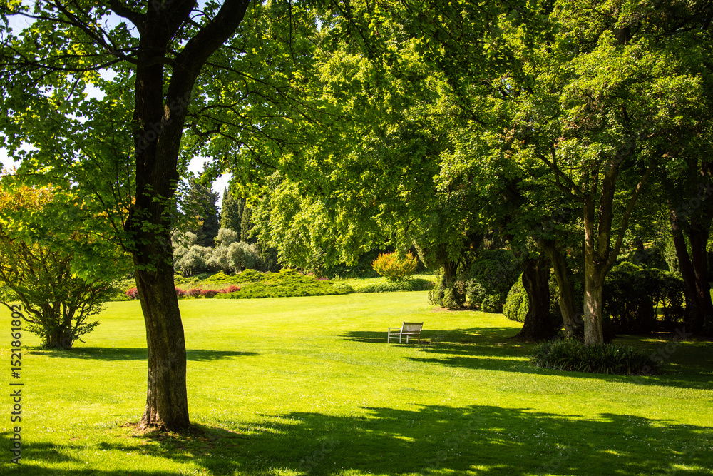Obraz premium parco immerso nel verde con erba esposta al sole