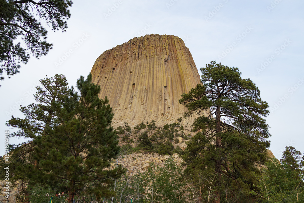 Obraz premium Devils Tower National Monument, Wyoming 